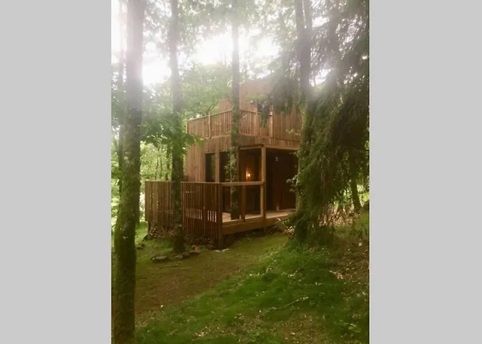 Adorable Cabane Dans Un Espace Boise